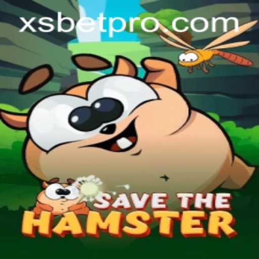 SavetheHamster: A Thrilling Adventure Using the XSBET Strategy